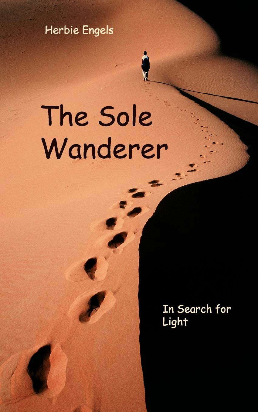 The Sole Wanderer: In Search for Light poster