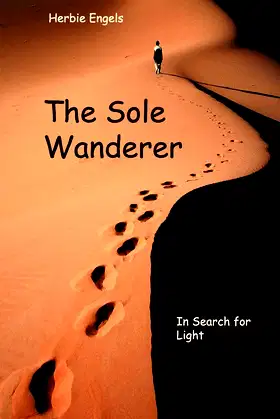 The Sole Wanderer: In Search for Light poster