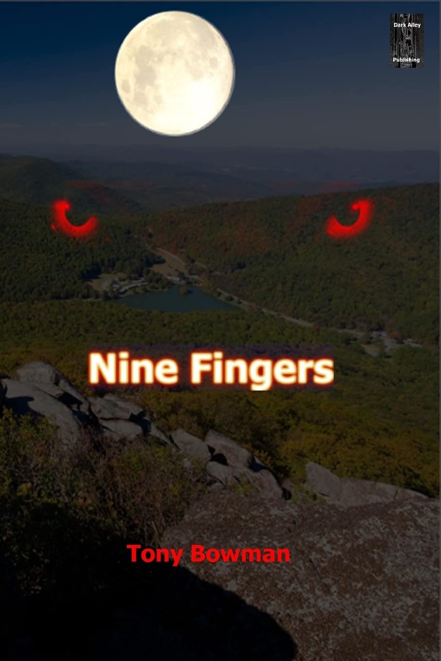 Nine Fingers poster
