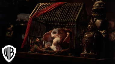 Gremlins 2: The New Batch | Weird Things in Downtown | Warner Bros. Entertainment poster