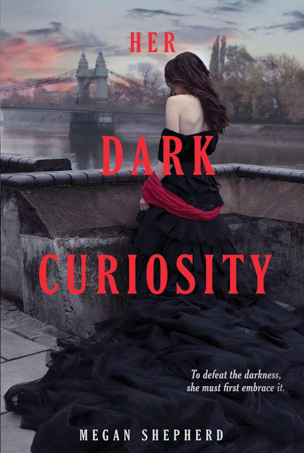 Her Dark Curiosity (Madman's Daughter) poster
