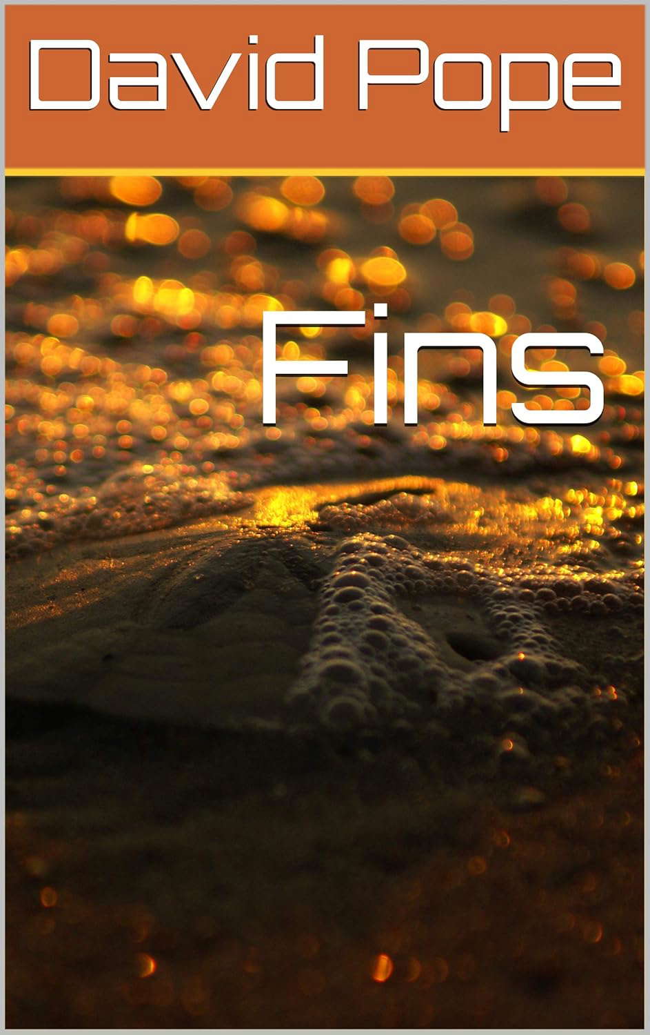 Fins poster