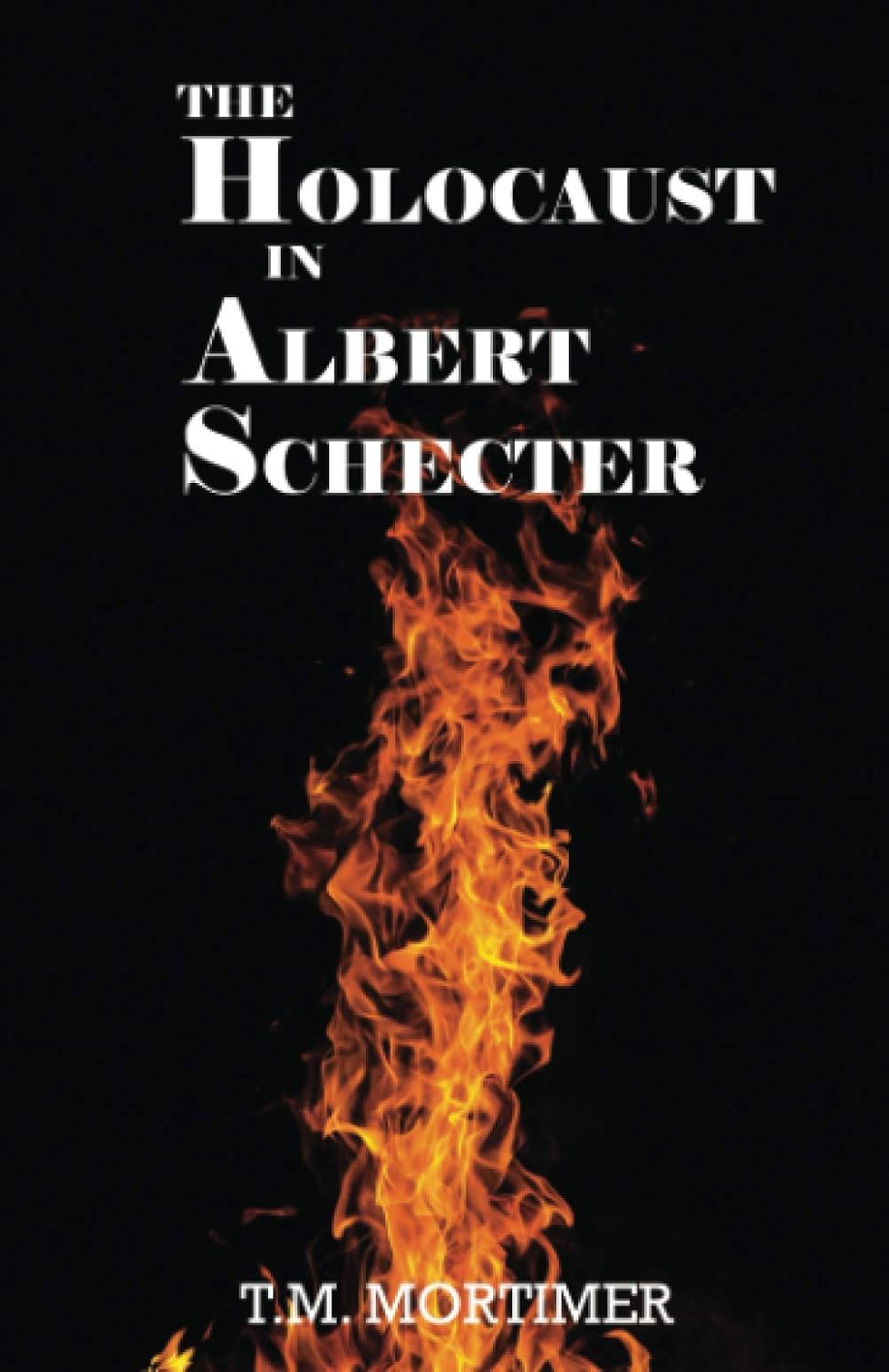 The Holocaust in Albert Schecter poster