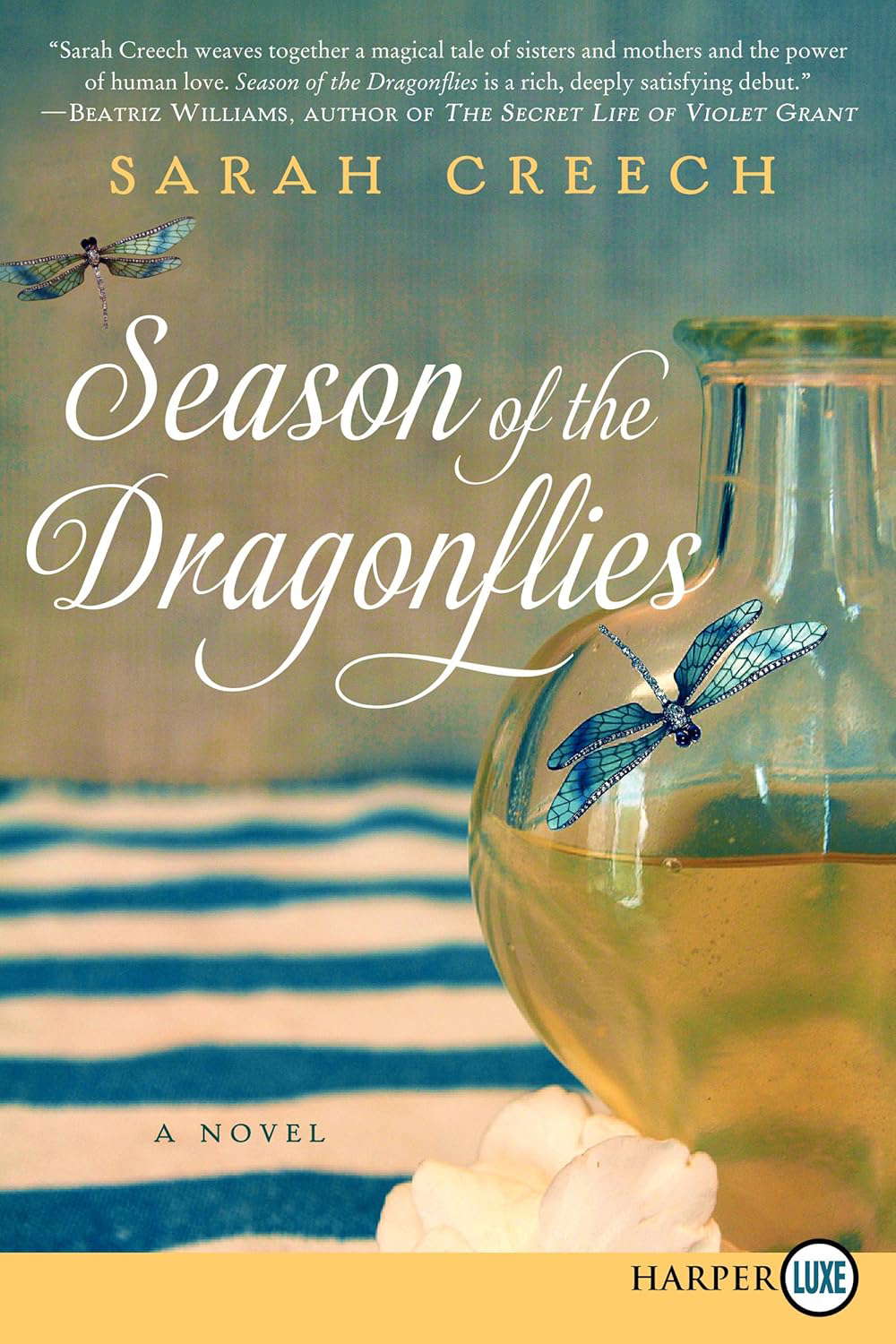 Season of the Dragonflies: A Novel poster