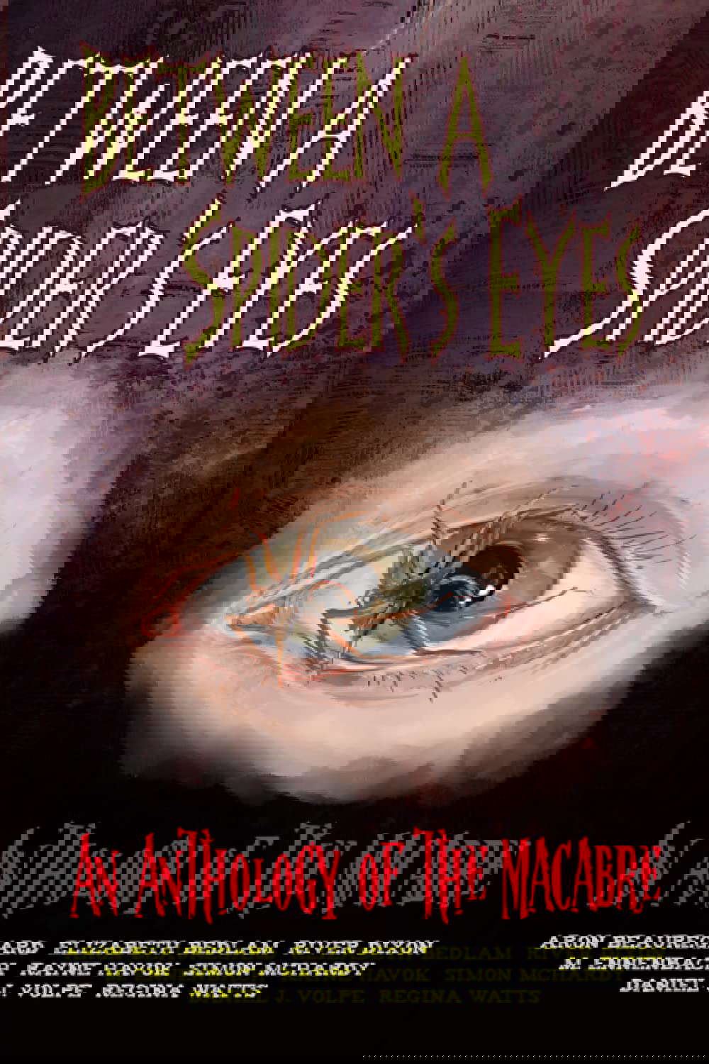 Between A Spider's Eyes: an anthology of the macabre poster