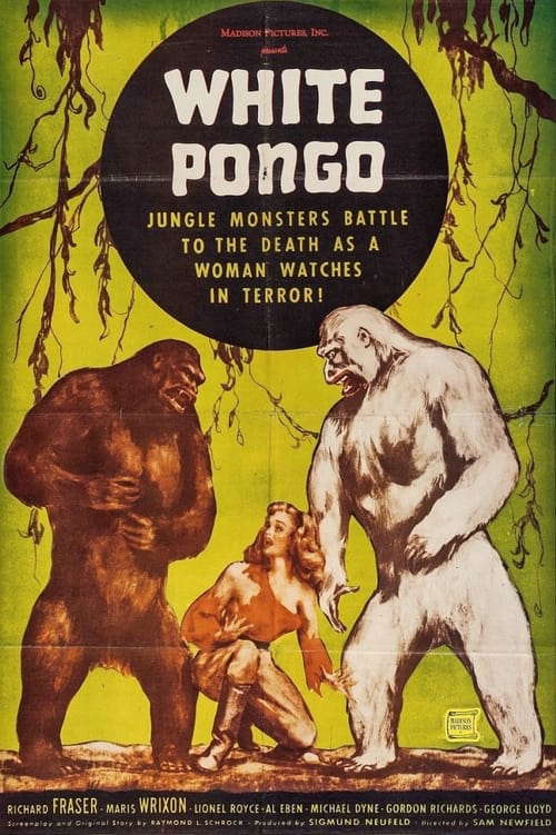 White Pongo poster