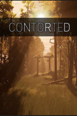 CONTORTED poster