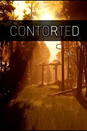 CONTORTED poster
