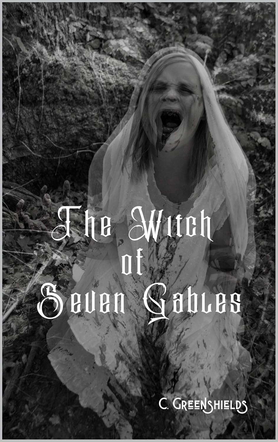 The Witch of Seven Gables: Vol. 1 poster