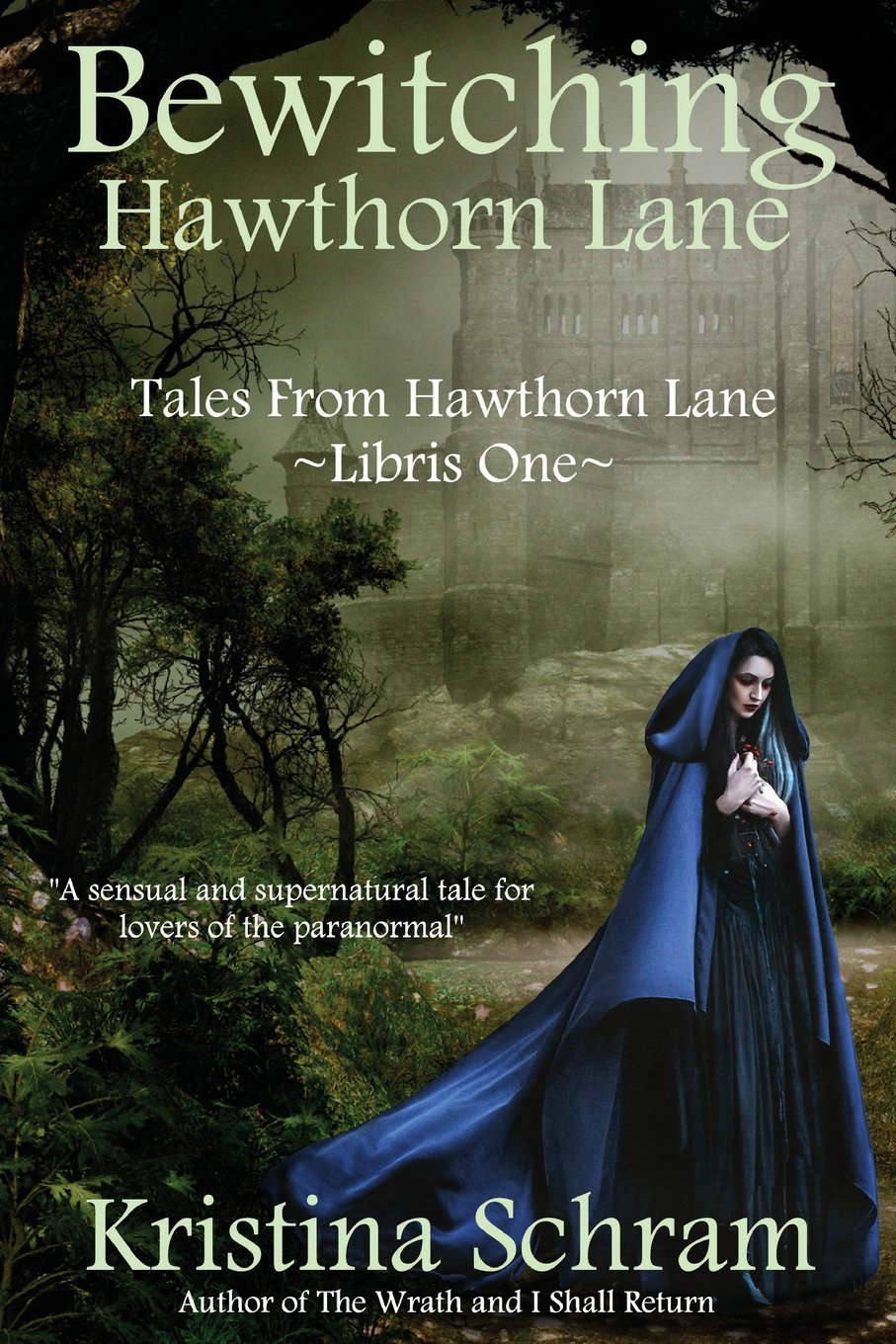 Bewitching Hawthorn Lane (Tales From Hawthorn Lane) poster