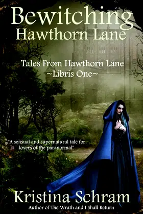 Bewitching Hawthorn Lane (Tales From Hawthorn Lane) poster