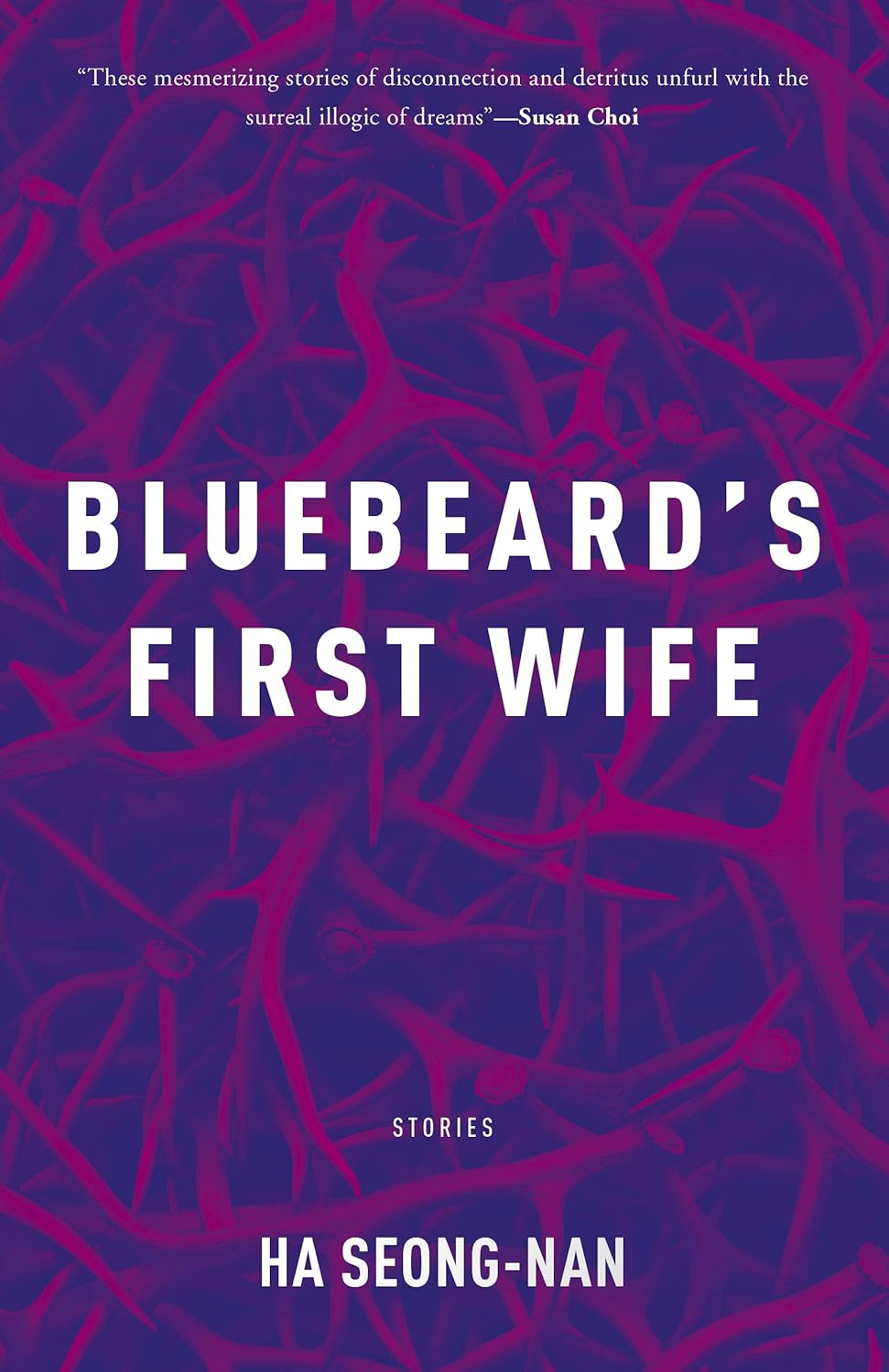 Bluebeard's First Wife poster