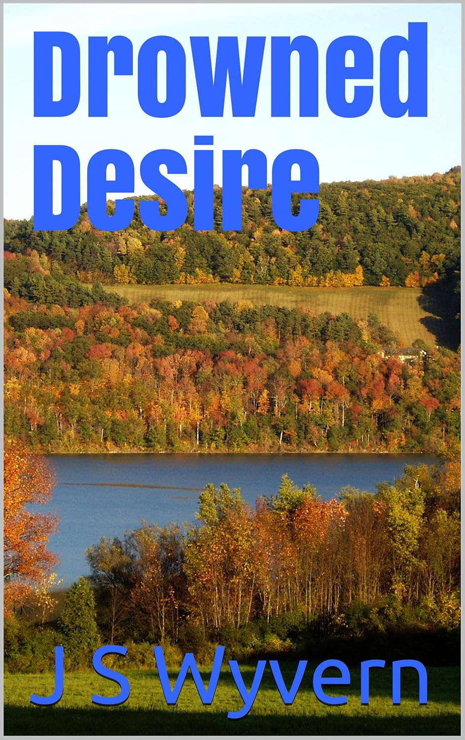 Drowned Desire poster