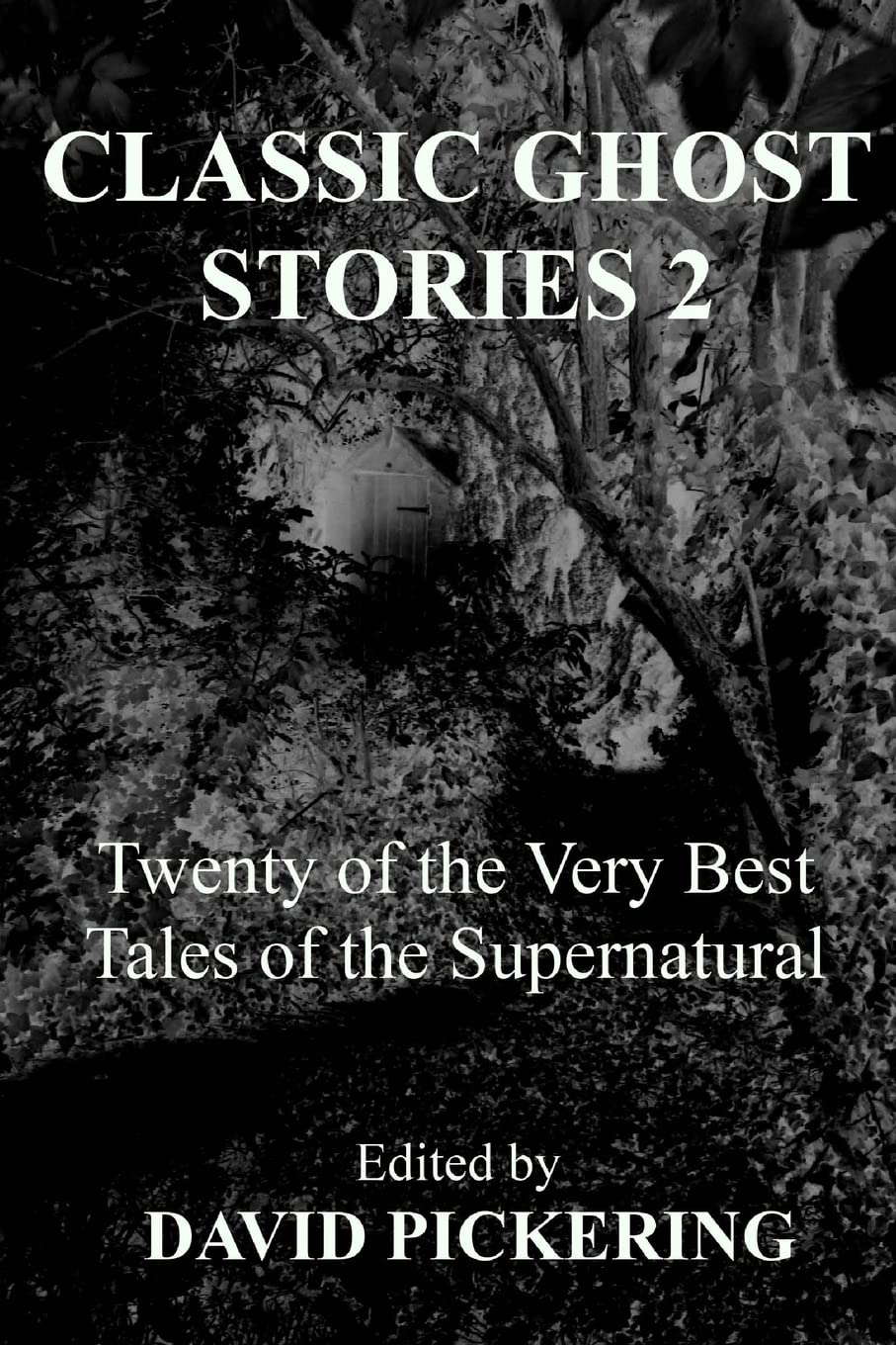 Classic Ghost Stories 2 poster