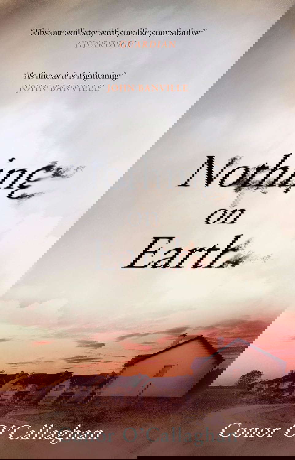 Nothing On Earth poster