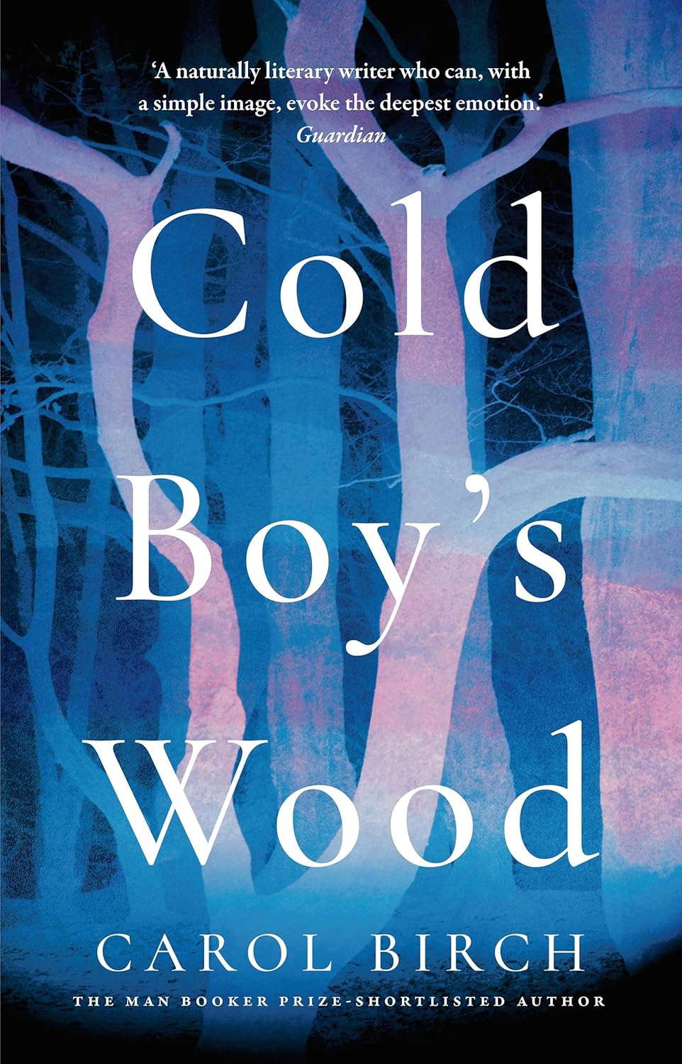 Cold Boy's Wood poster