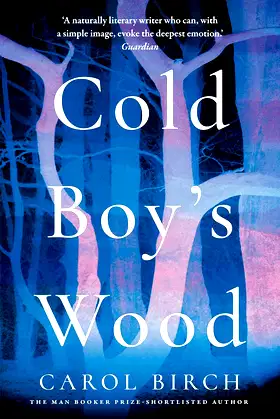 Cold Boy's Wood poster