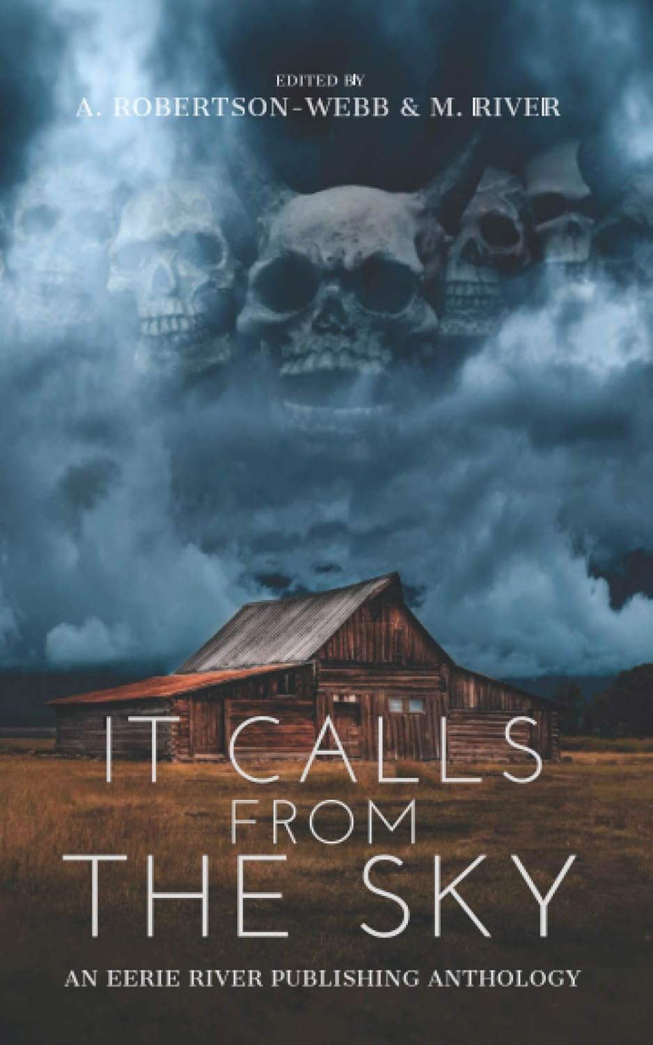 It Calls From the Sky: Terrifying Tales from Above poster