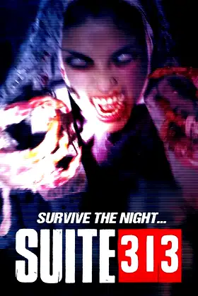 Suite 313 poster