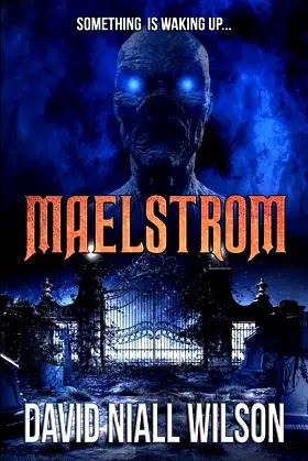 Maelstrom poster