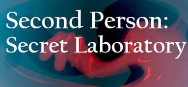 Second Person: Secret Laboratory capsule