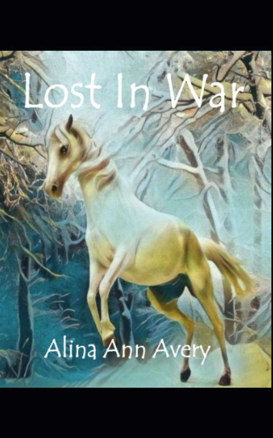 Lost in War poster
