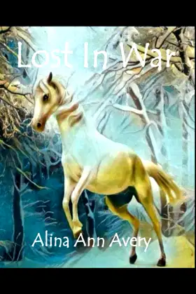 Lost in War poster