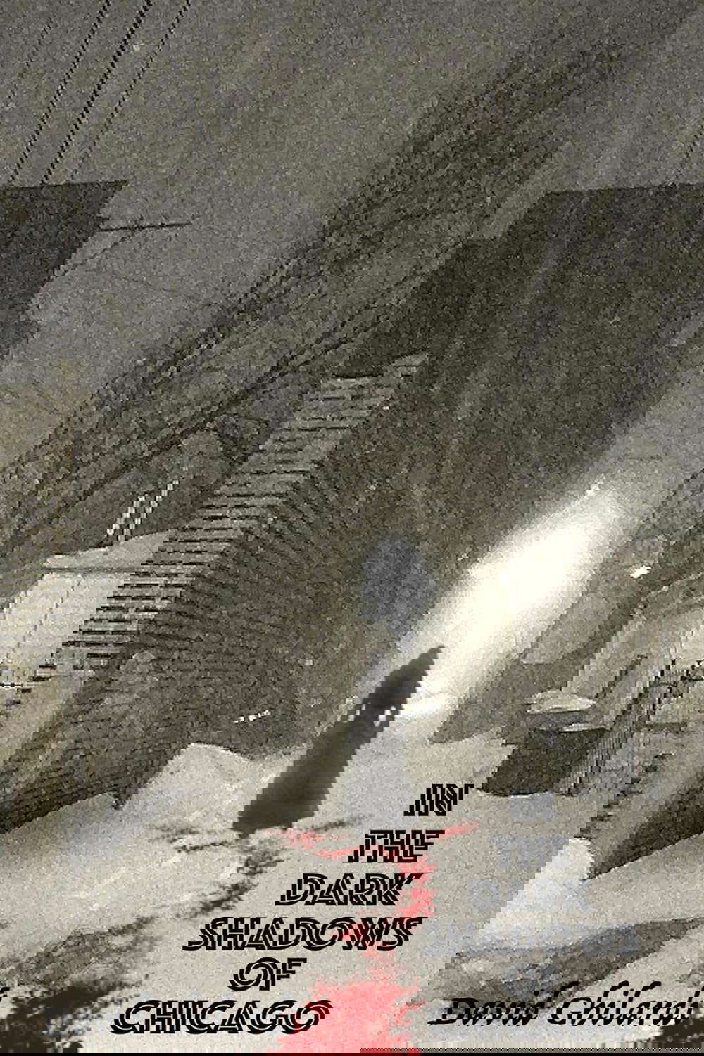 In The Dark Shadows of Chicago (Dark Chicago Book 2) poster