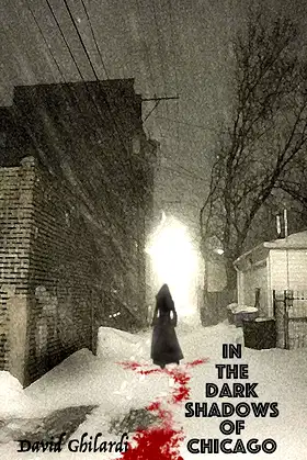 In The Dark Shadows of Chicago (Dark Chicago Book 2) poster