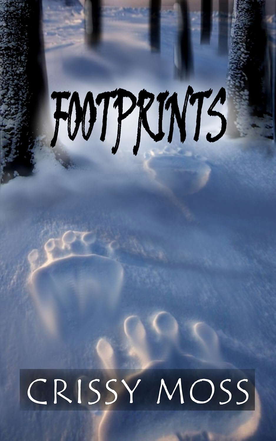 Footprints poster