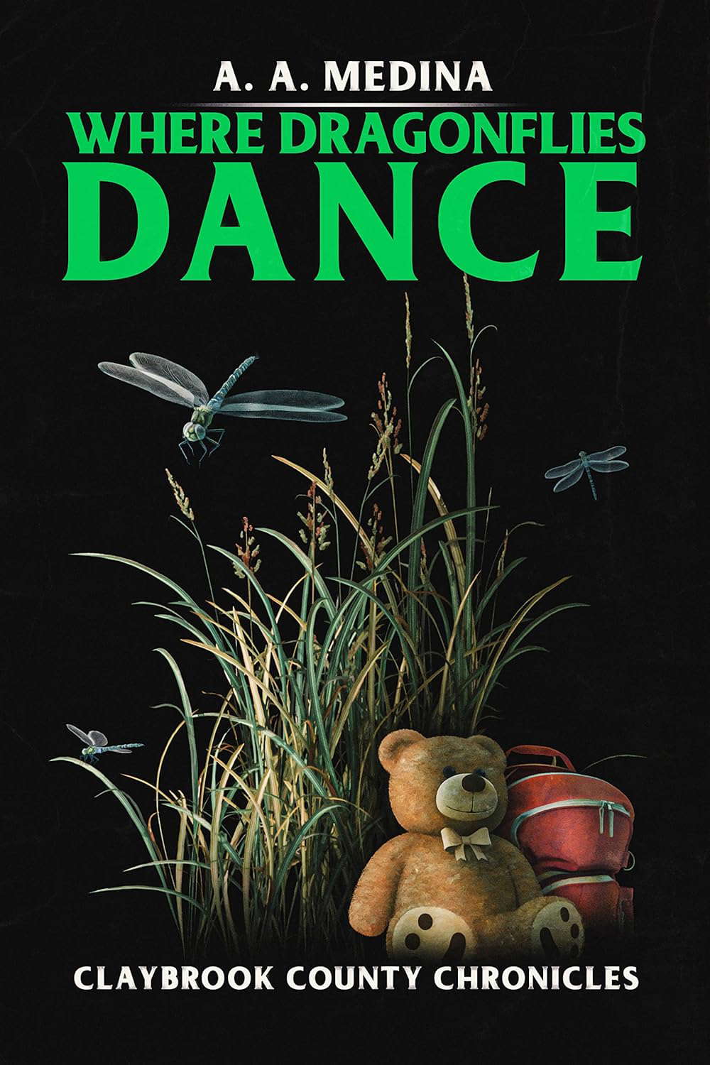 Where Dragonflies Dance (Claybrook County Chronicles) poster