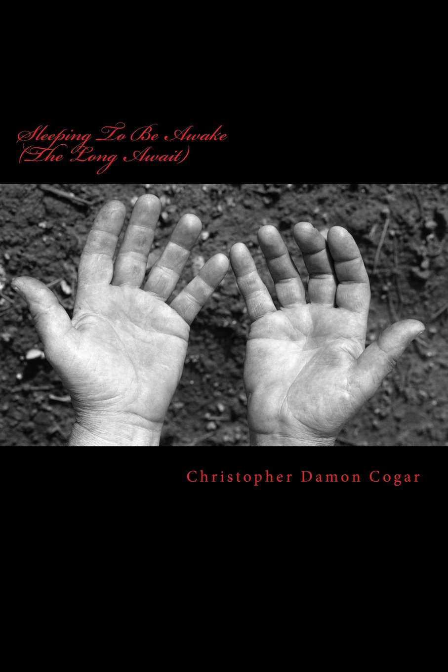 Sleeping To Be Awake (The Long Await) poster