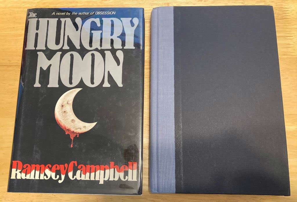 The HUNGRY MOON poster