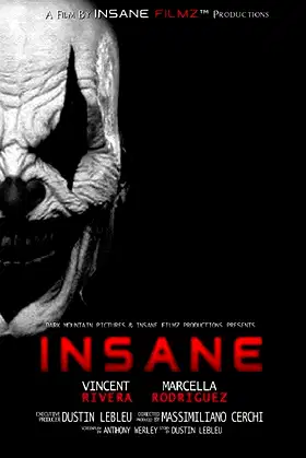 Insane poster