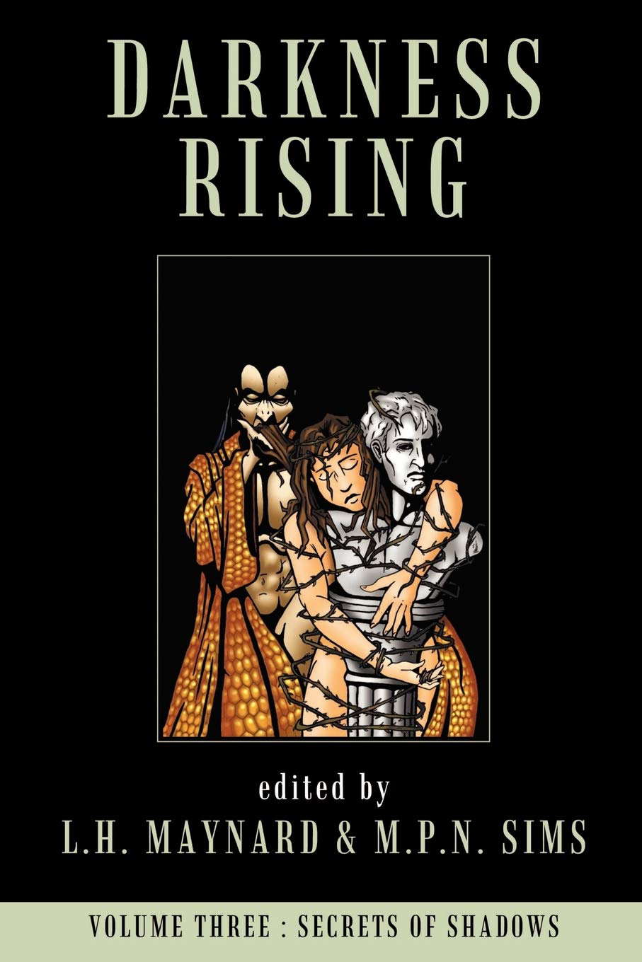 Darkness Rising, Vol. 3: Secrets of Shadows poster