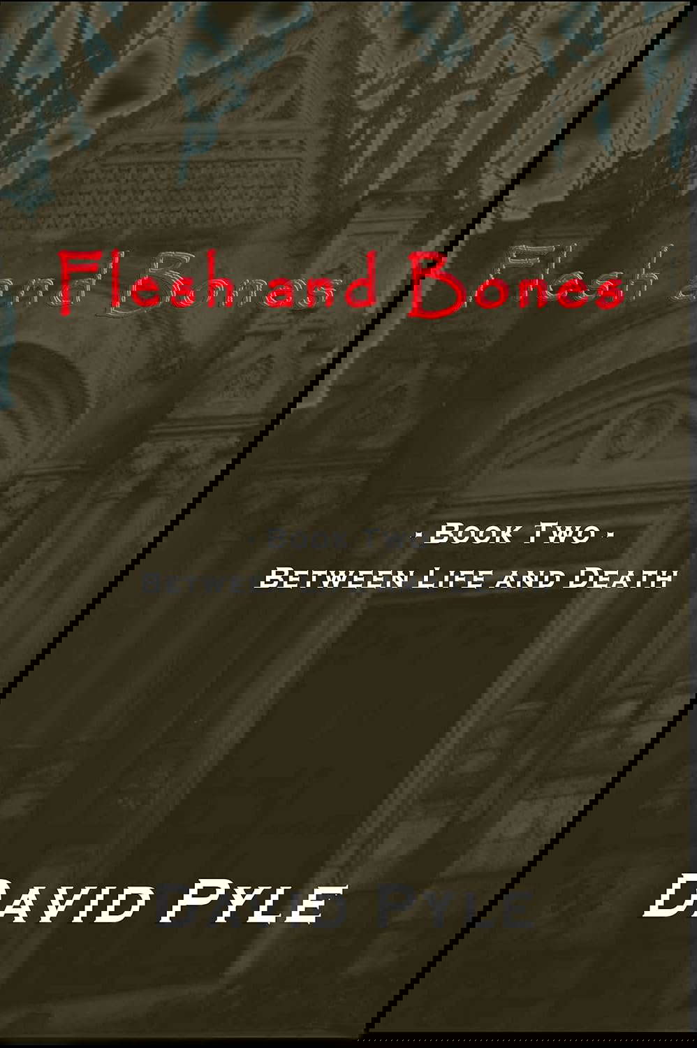 Flesh and Bones: Book Two - Between Life and Death poster