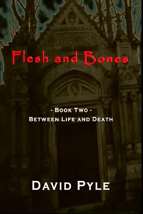Flesh and Bones: Book Two - Between Life and Death poster
