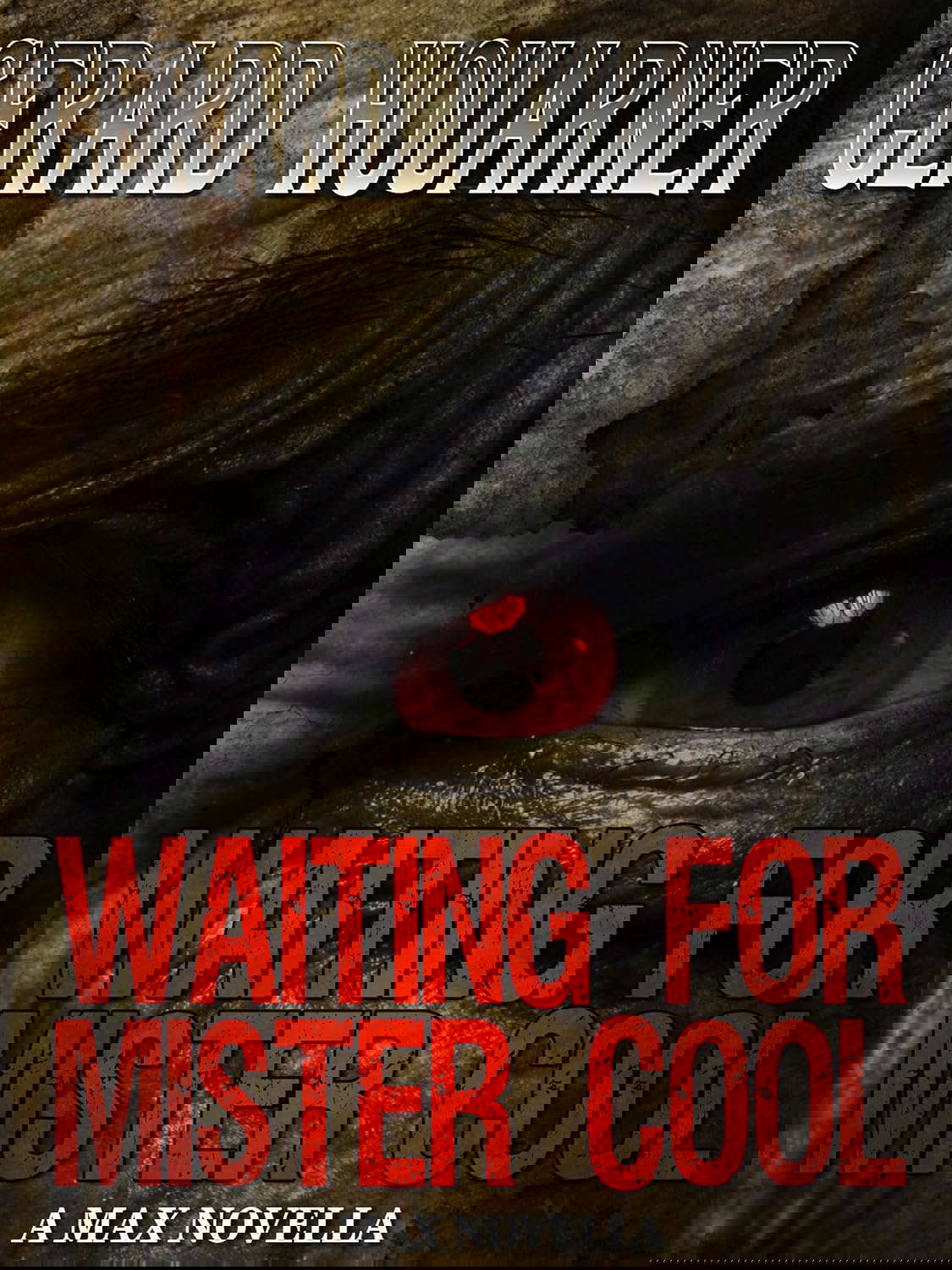Waiting for Mister Cool (The Max Series Book 2) poster