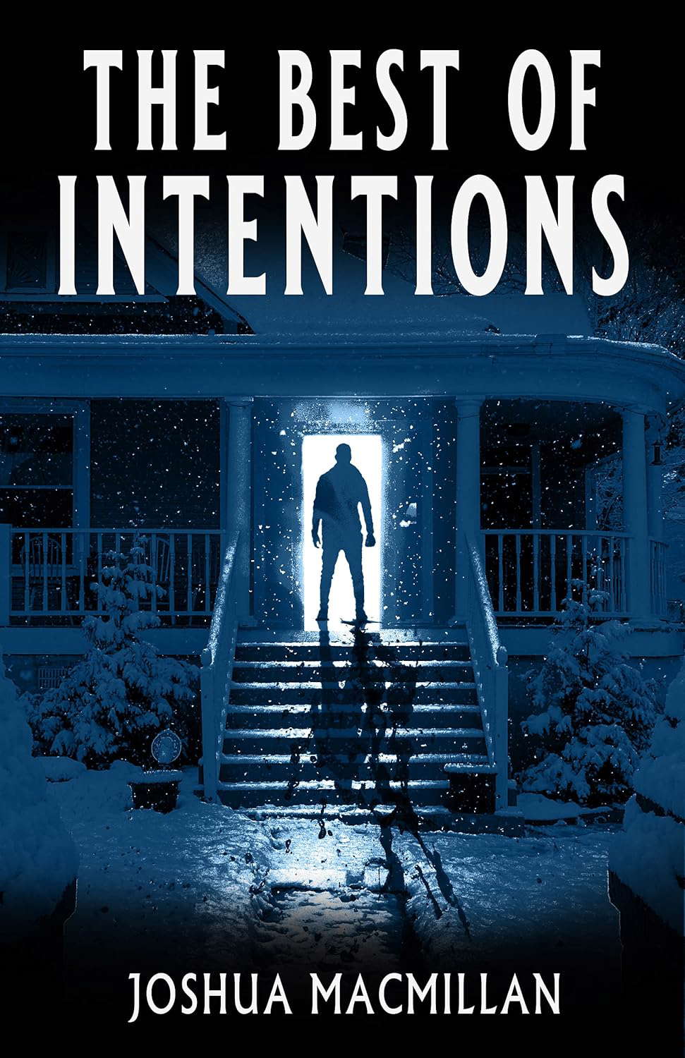 The Best of Intentions poster