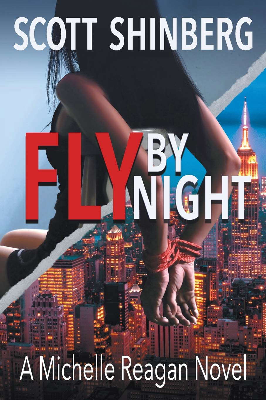 Fly by Night: A Riveting Spy Thriller (Michelle Reagan) poster