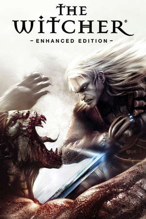 The Witcher: Enhanced Edition Director's Cut poster