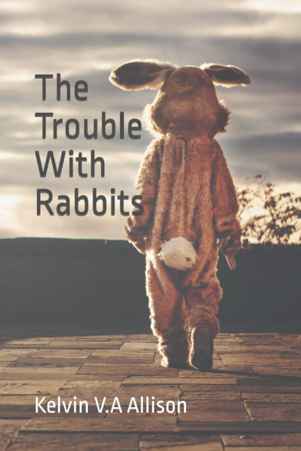 The Trouble With Rabbits poster