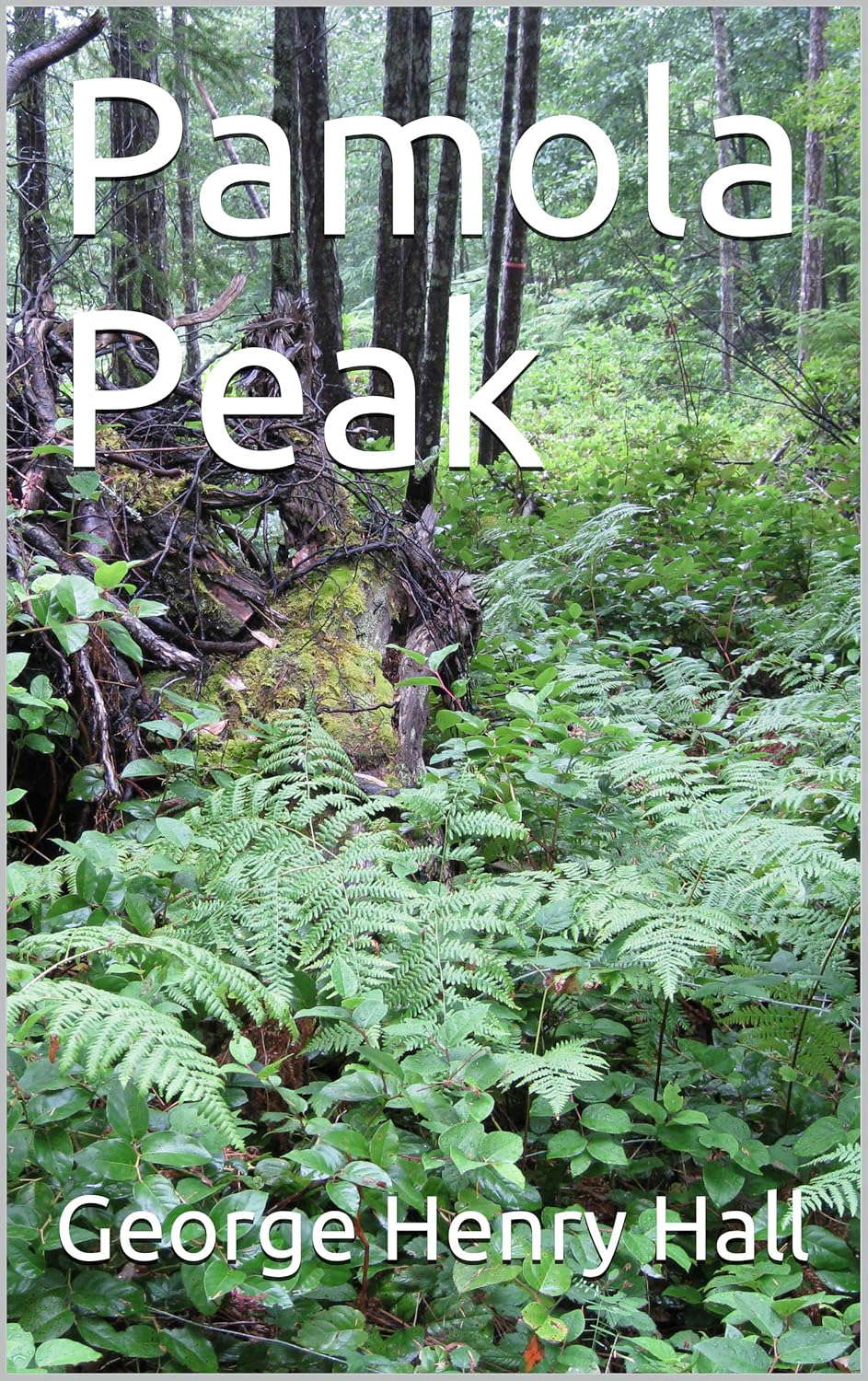 Pamola Peak poster