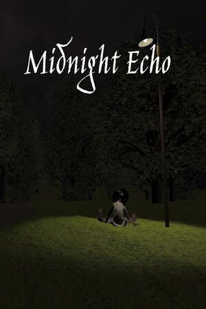Midnight Echo poster