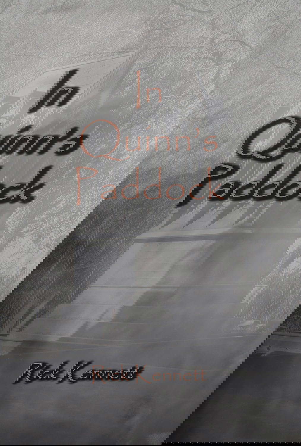 In Quinn's Paddock poster
