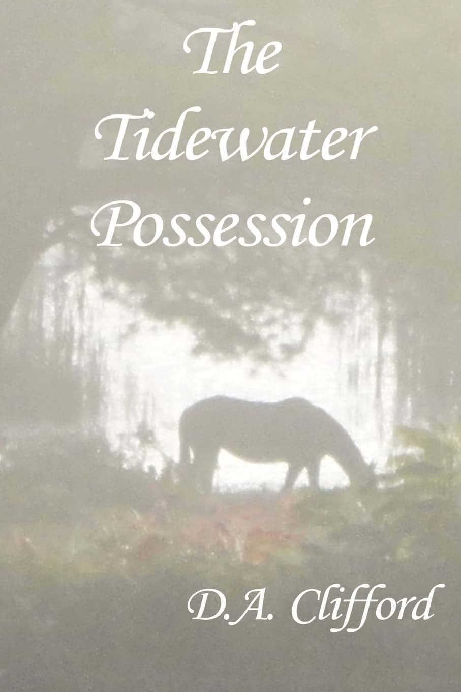 The Tidewater Possession poster