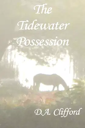 The Tidewater Possession poster