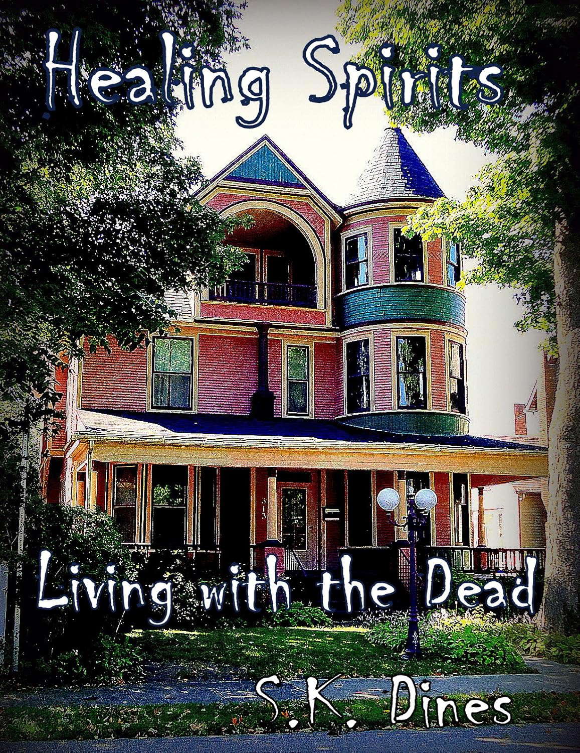 Healing Spirits: Living with the Dead poster