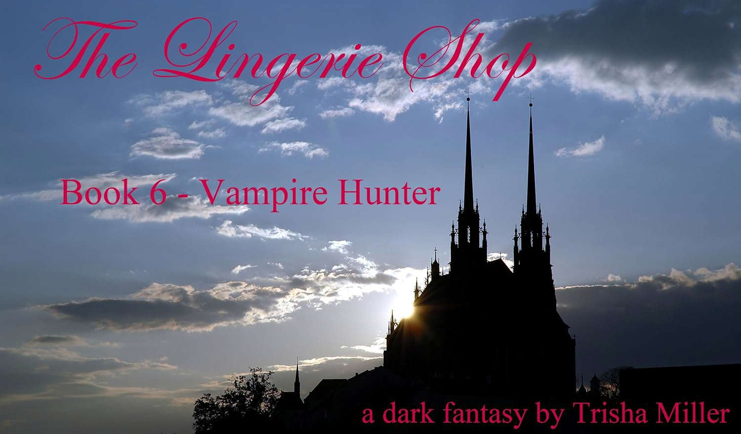Lingerie Shop 6 - Vampire Hunter (The Lingerie Shop) poster
