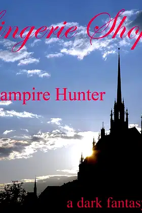 Lingerie Shop 6 - Vampire Hunter (The Lingerie Shop) poster